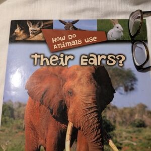 How Do Animals Use Their Ears? Book